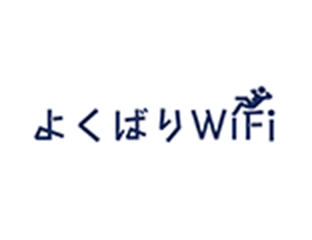 Broad WiMAX